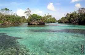 Coiba